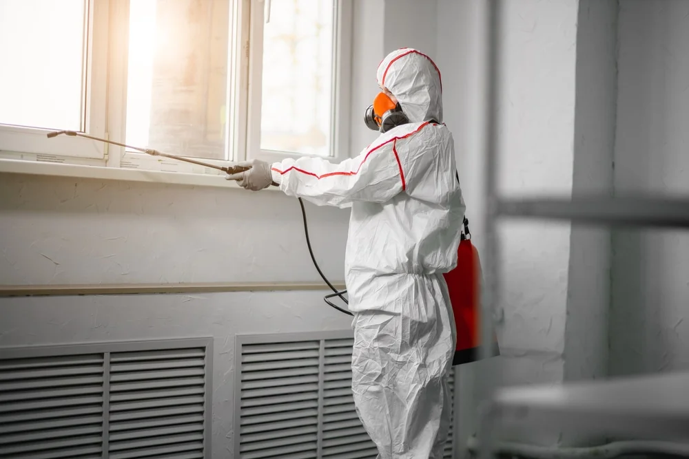 Professional mold remediation services in Key Biscayne, FL